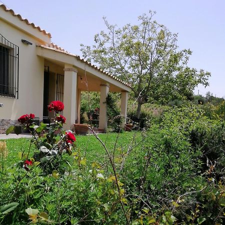 S'Orrosa Casa Vacanze Bifamiliare In Montagna Panorama Stupendo Sardegna Seulo Экстерьер фото