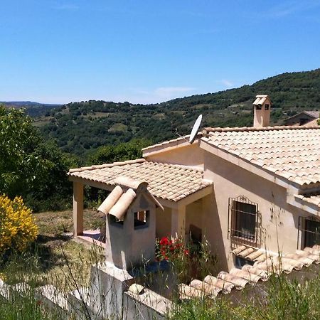 S'Orrosa Casa Vacanze Bifamiliare In Montagna Panorama Stupendo Sardegna Seulo Экстерьер фото