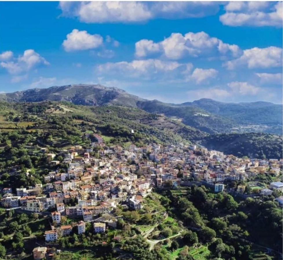 S'Orrosa Casa Vacanze Bifamiliare In Montagna Panorama Stupendo Sardegna Seulo Экстерьер фото