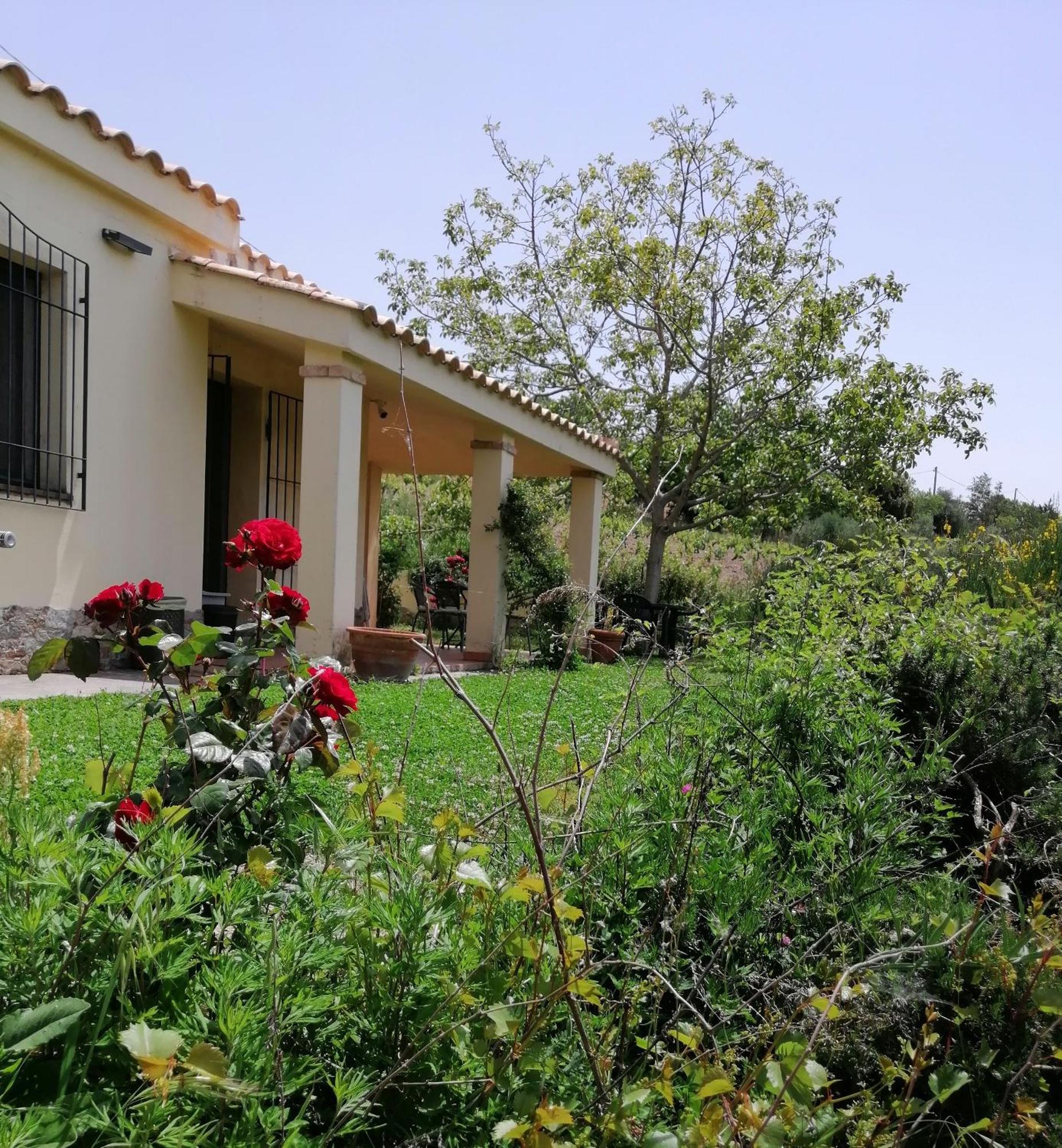 S'Orrosa Casa Vacanze Bifamiliare In Montagna Panorama Stupendo Sardegna Seulo Экстерьер фото