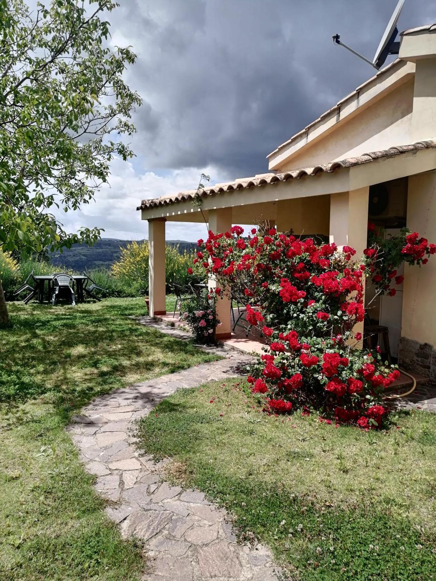 S'Orrosa Casa Vacanze Bifamiliare In Montagna Panorama Stupendo Sardegna Seulo Экстерьер фото