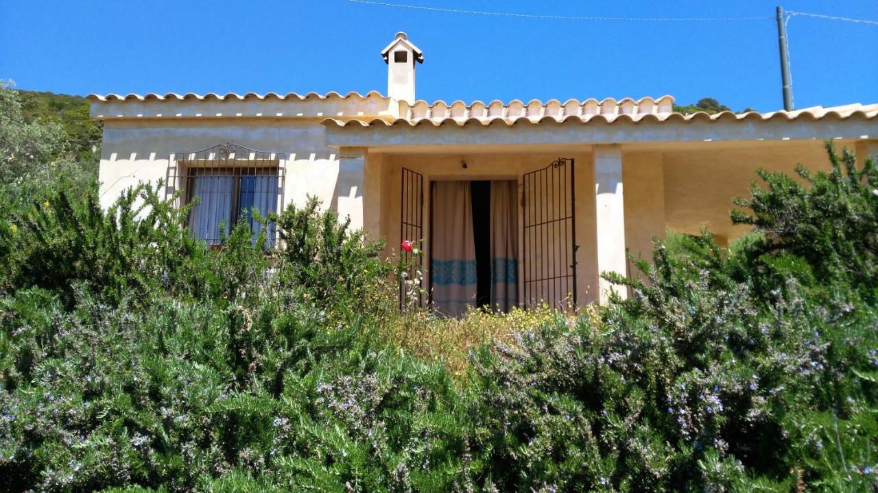 S'Orrosa Casa Vacanze Bifamiliare In Montagna Panorama Stupendo Sardegna Seulo Экстерьер фото