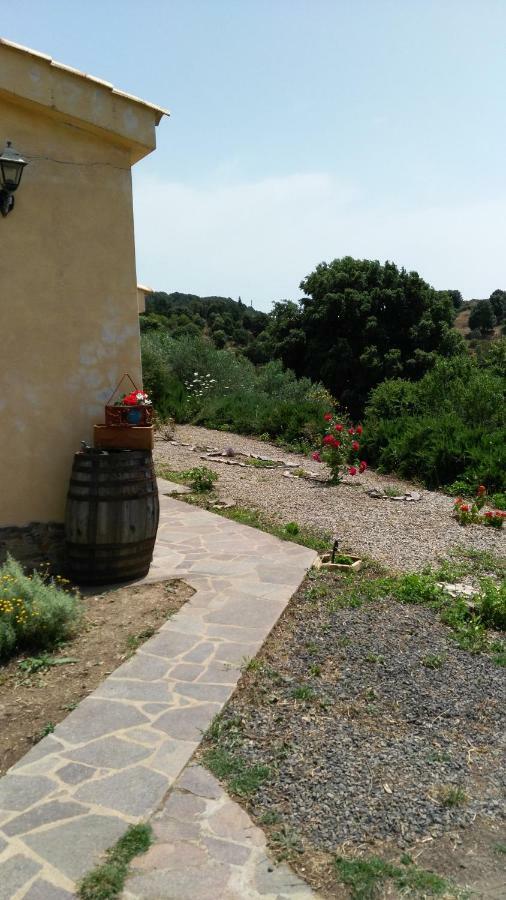 S'Orrosa Casa Vacanze Bifamiliare In Montagna Panorama Stupendo Sardegna Seulo Экстерьер фото