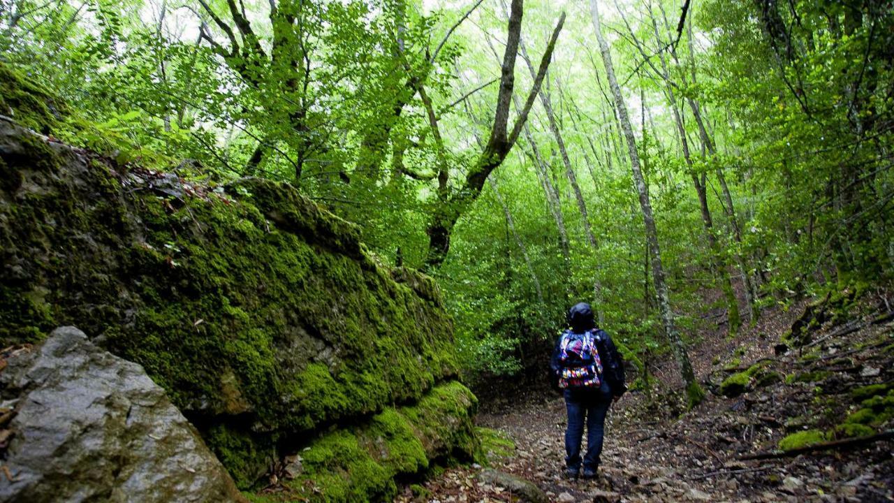 S'Orrosa Casa Vacanze Bifamiliare In Montagna Panorama Stupendo Sardegna Seulo Экстерьер фото