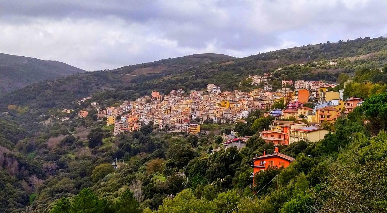 S'Orrosa Casa Vacanze Bifamiliare In Montagna Panorama Stupendo Sardegna Seulo Экстерьер фото