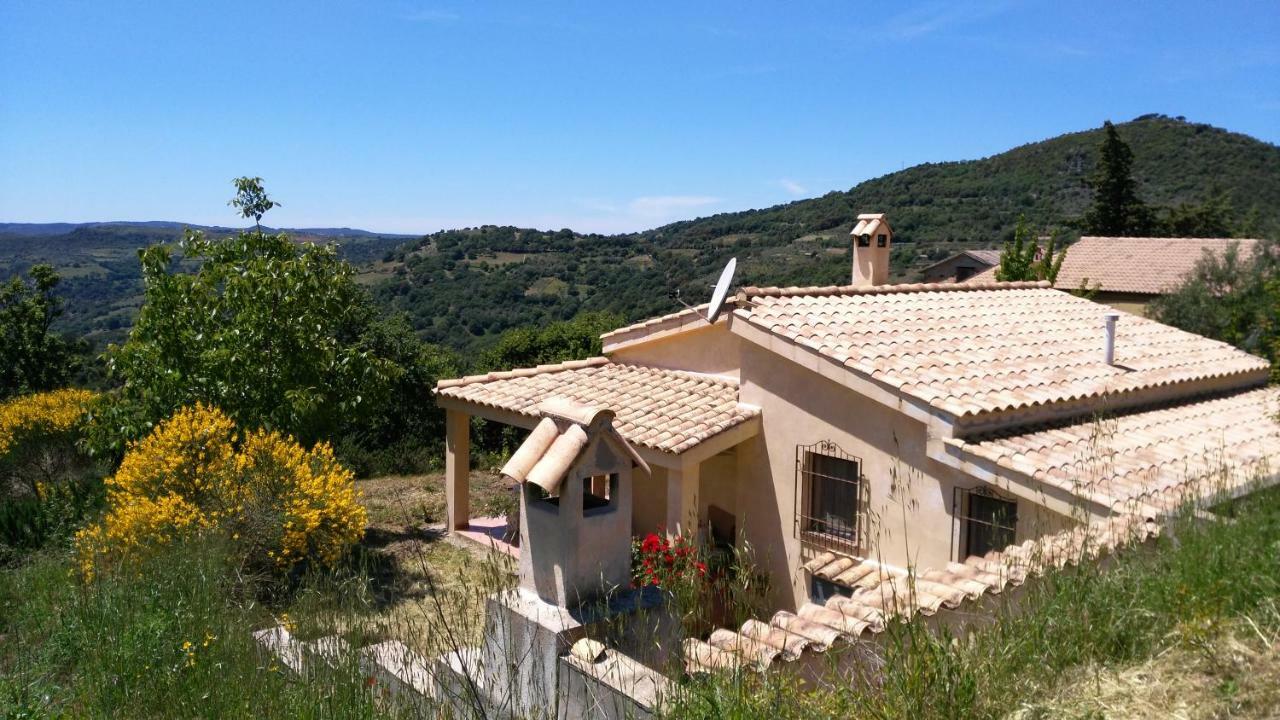S'Orrosa Casa Vacanze Bifamiliare In Montagna Panorama Stupendo Sardegna Seulo Экстерьер фото