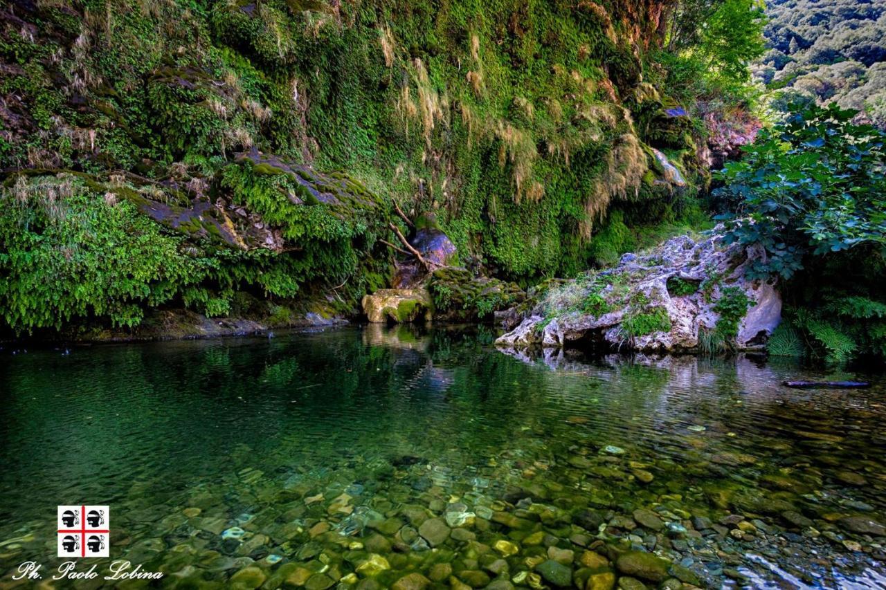S'Orrosa Casa Vacanze Bifamiliare In Montagna Panorama Stupendo Sardegna Seulo Экстерьер фото